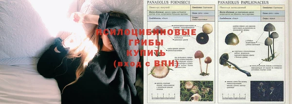 2c-b Коряжма