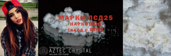 индика Краснослободск