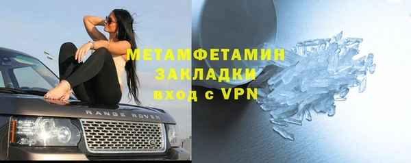 индика Краснослободск