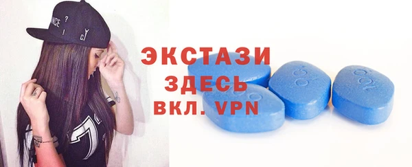 индика Краснослободск