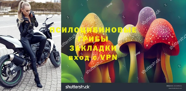 PSILOCYBIN Семикаракорск