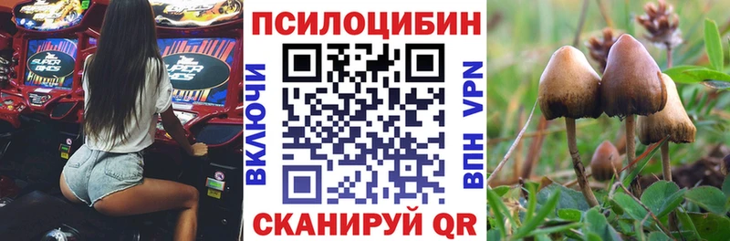 Галлюциногенные грибы мицелий  Купить закладки  Болотное 